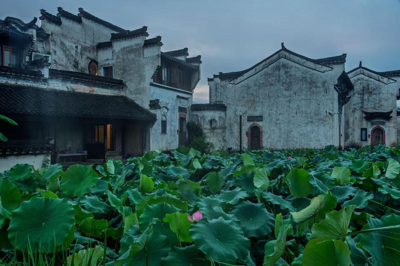 黄山呈坎八卦村。黄山呈坎八卦村徽派建筑美如画 烟雨江南的中式美学 江南水乡里的诗