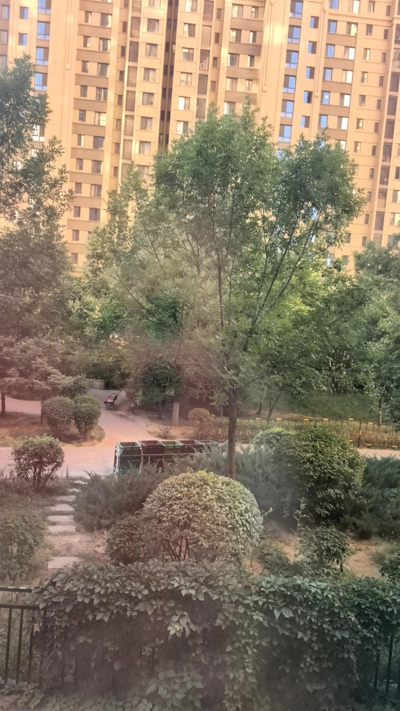 昨天下午，在呼和浩特市赛罕区南二环附近的一个小区门口，一位门脸房的业主说，今年，