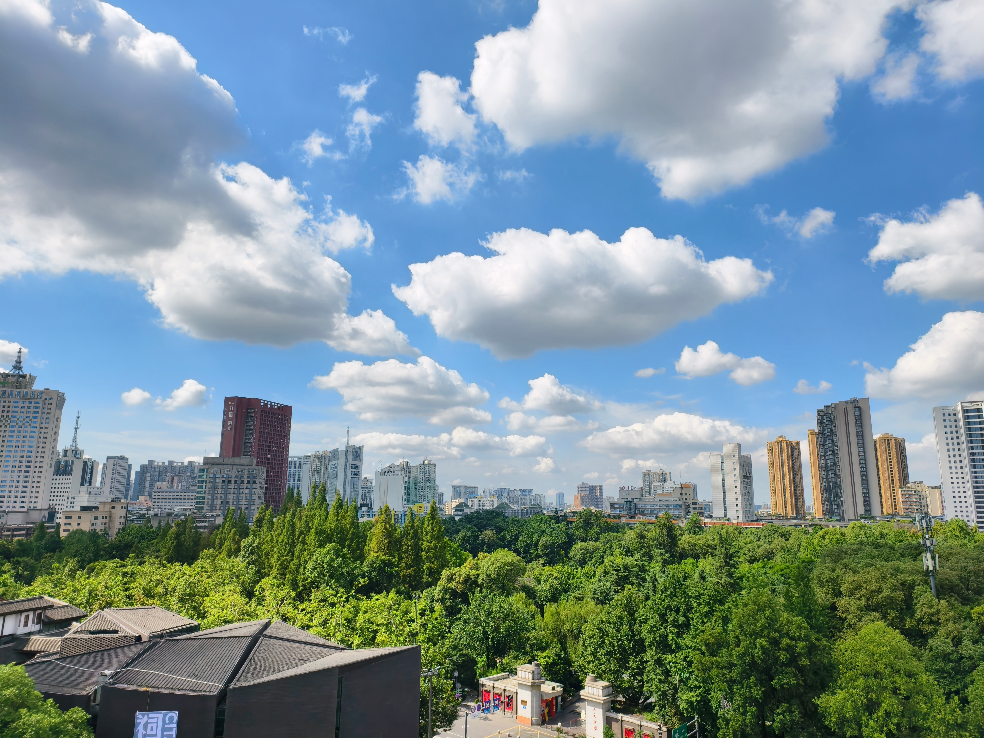 成都这周又热起来了，雨水洗刷过的天空，清透，却也让烈日变得无遮蔽。天空很美。老人