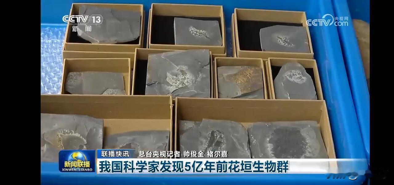 5亿年前花垣生物群，揭开远古生命的神秘面纱！🦕🌍