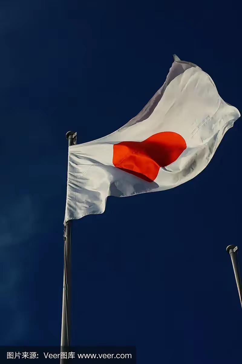 日本这波操作，属实是把自己架在火上烤。六月十九号内阁拍板，签证费眼都不眨直接翻五