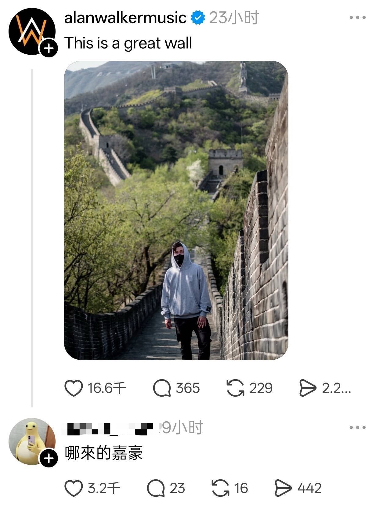 嘉豪梗唯一受害者——Alan walker 