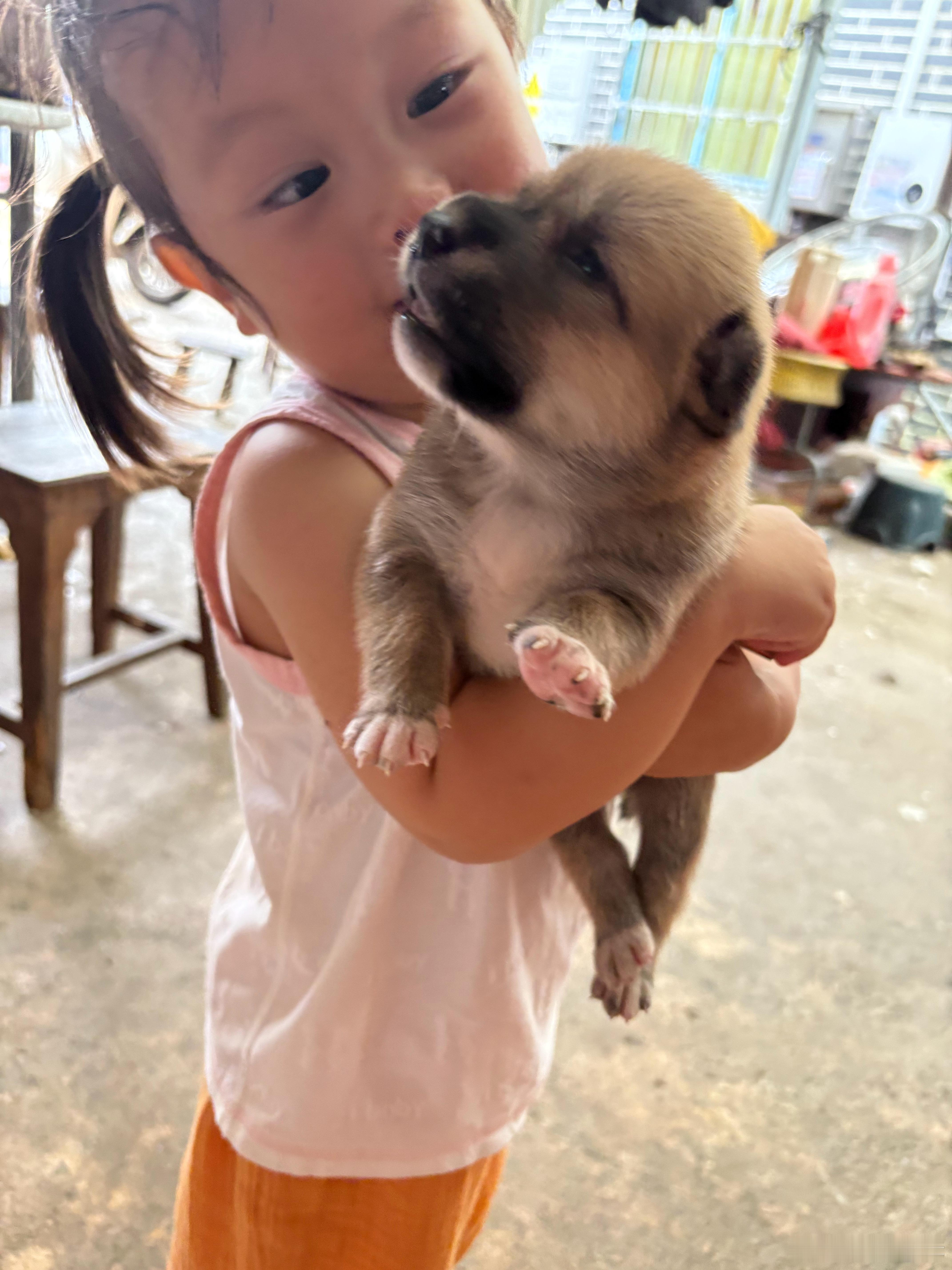 狗勾女王我的狗妹