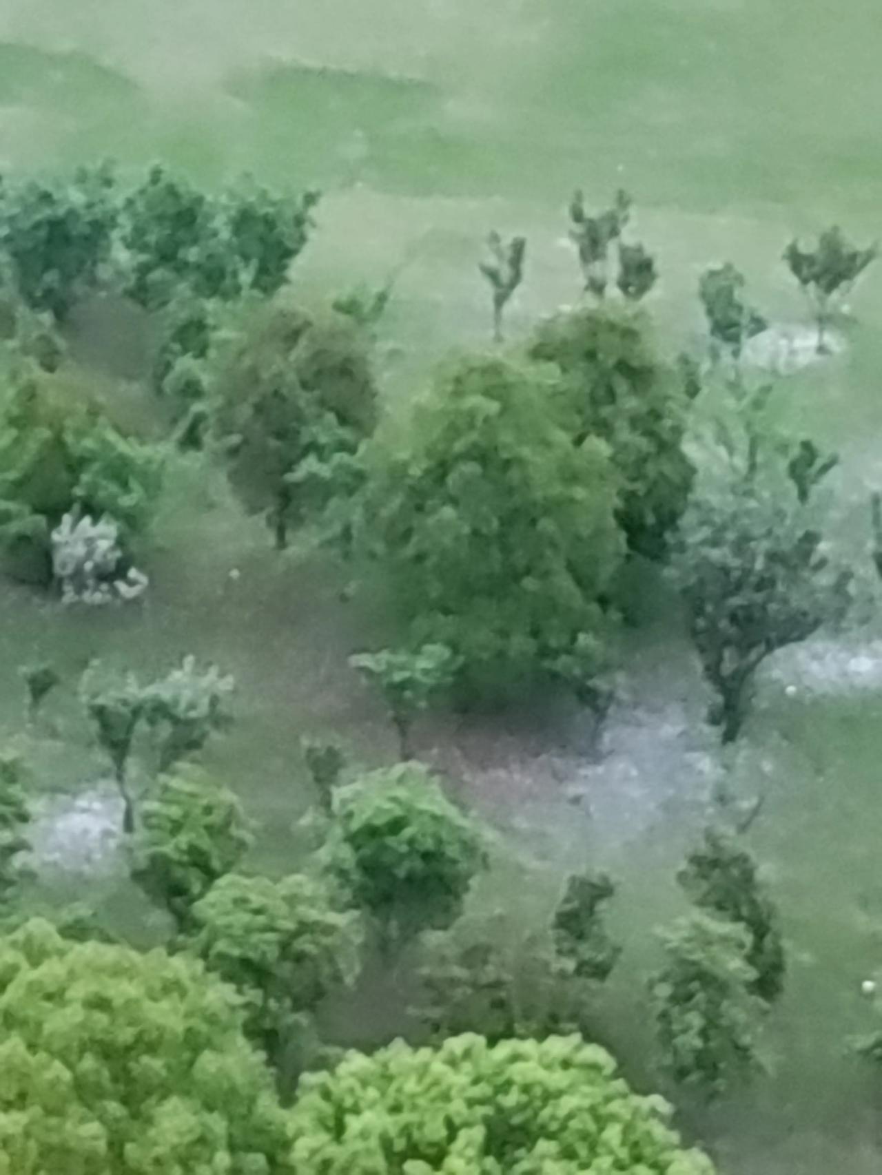 #春日生活打卡季#

与春雨对话（散文诗）

谷雨，春天的雨。
连连的春雨，春雨