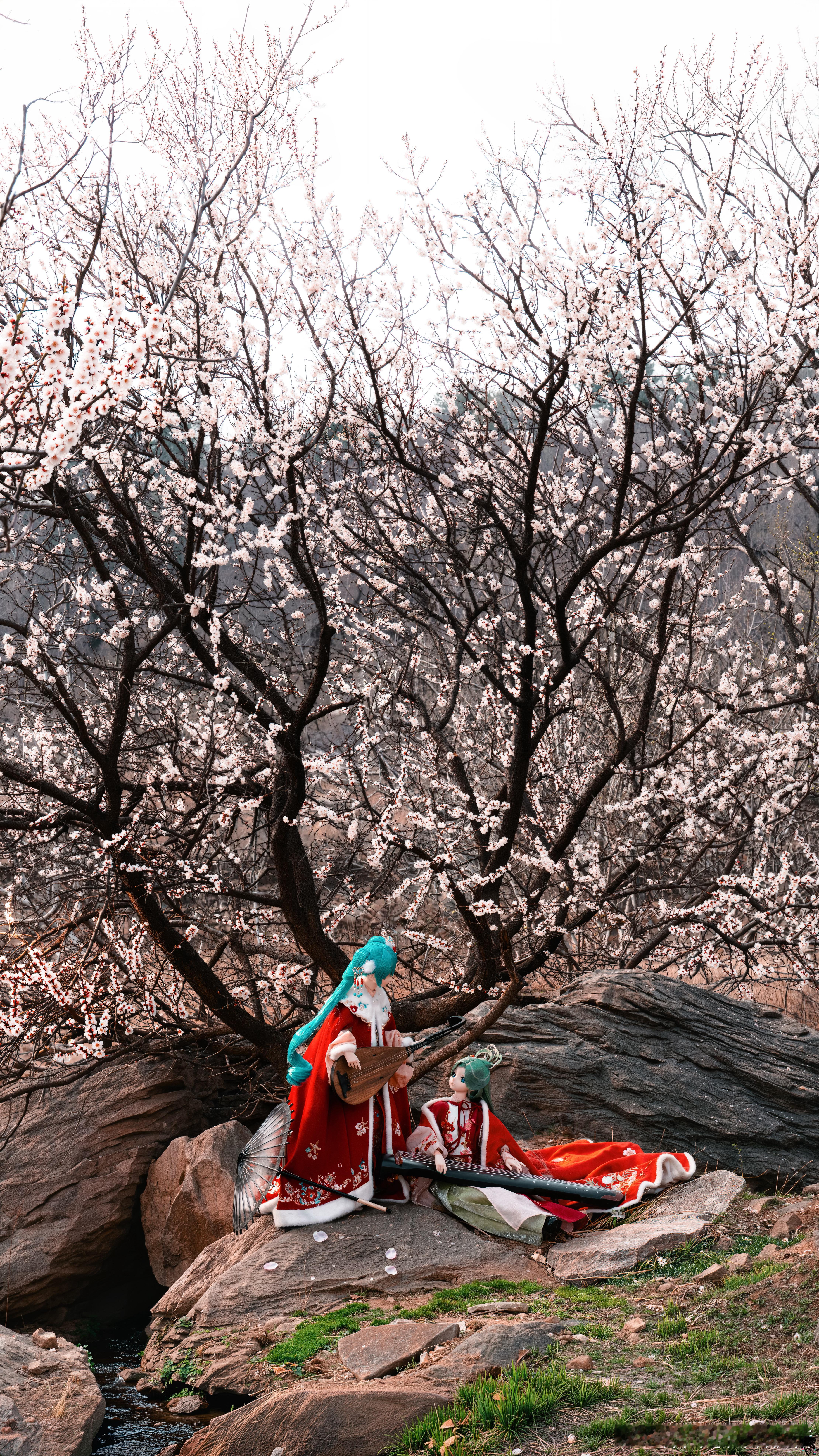 杏花bjd