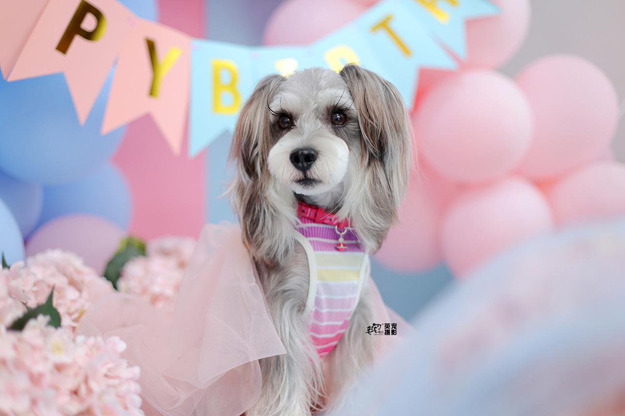 优雅又腼腆的小朋友过生日是什么样子？
是这样呢～～😍