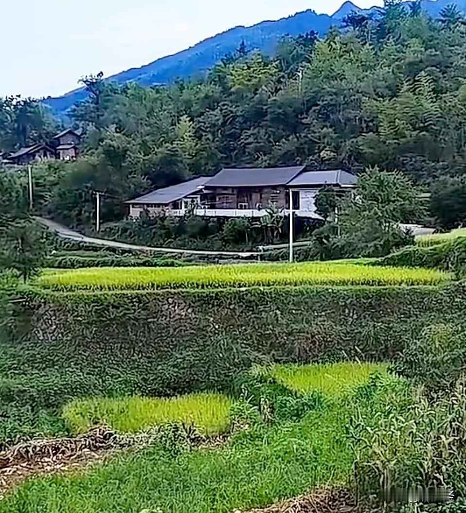 我脑海中已经有那幅绝美画面了！两幢房稳稳当当地背靠大山，那大山就像一位沉默又可靠