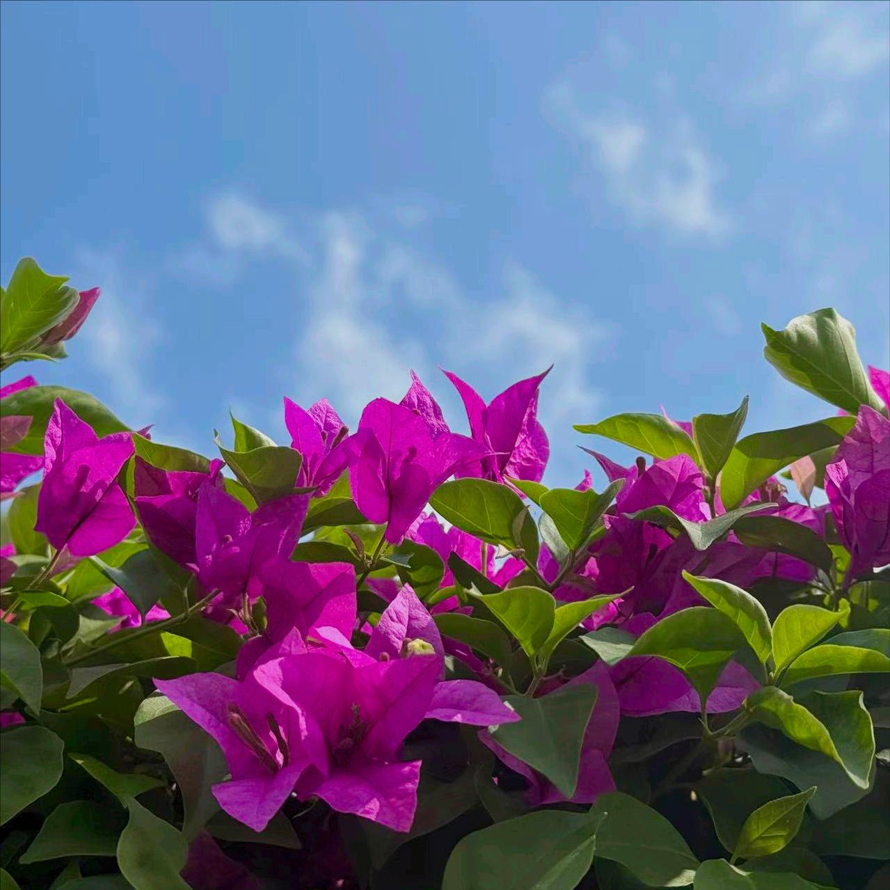 株洲迎来新的政府主要负责同志
 
3月31日，今年52岁的工学博士何恩广履新该市