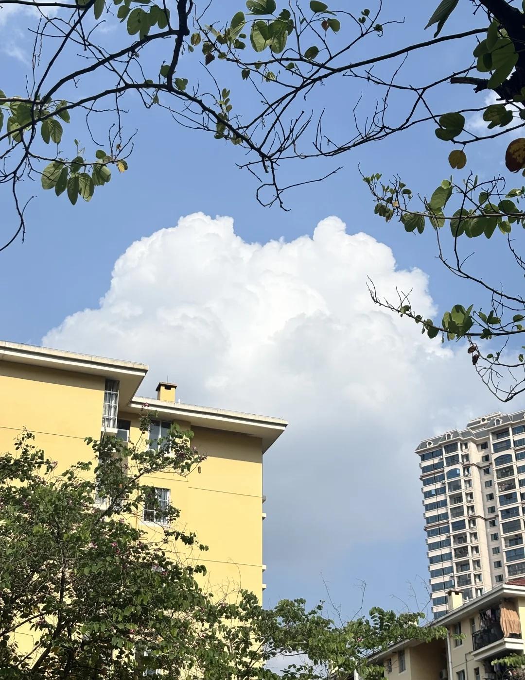 南宁，一个内裤粘屁股的城市
太热了[流泪]
要晒nong了
夏天 天气