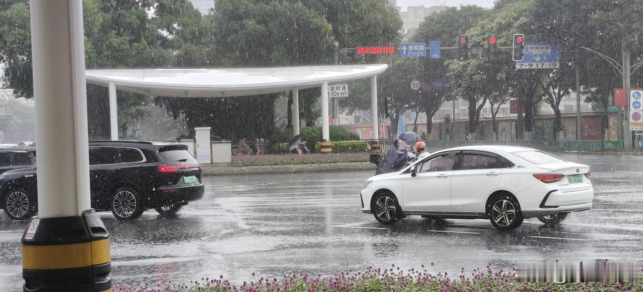 走路去访友，中途天降大雨。还好刺桐路上非机动车等候区有遮阳雨棚，否则这会儿，我已