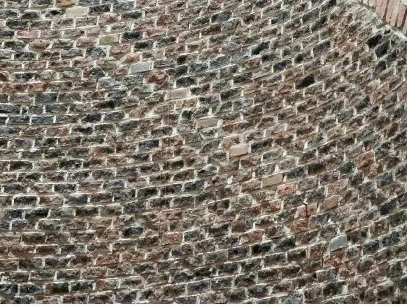 小时候，我在雪地里见过一只快要冻死的小奶猫，我把它带回家照顾，没多久它就死在了我