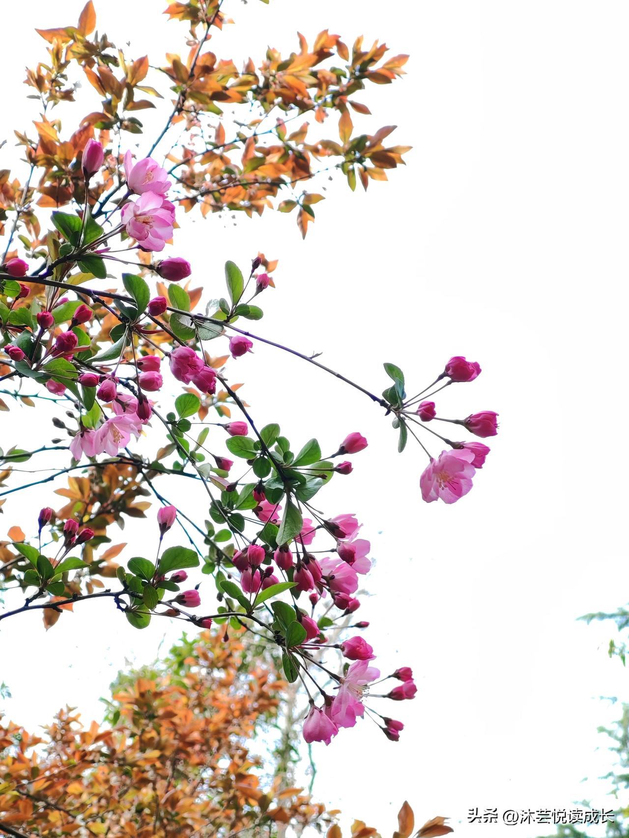 我退休后才懂，真正的平静从不在远方
 
我以前总觉得，生活太吵、人心太杂，总想找