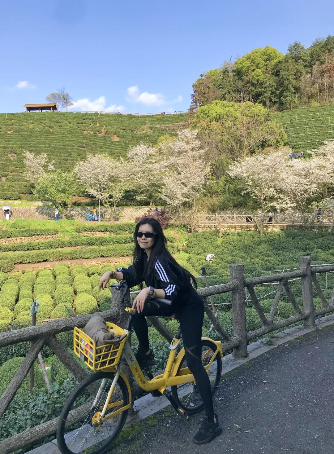 这才是春天啊🌸开满樱花的小猪线