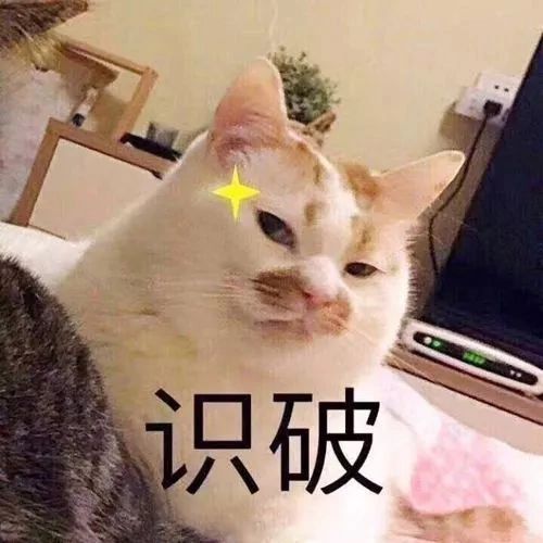 上海楼市真的寄了吗？