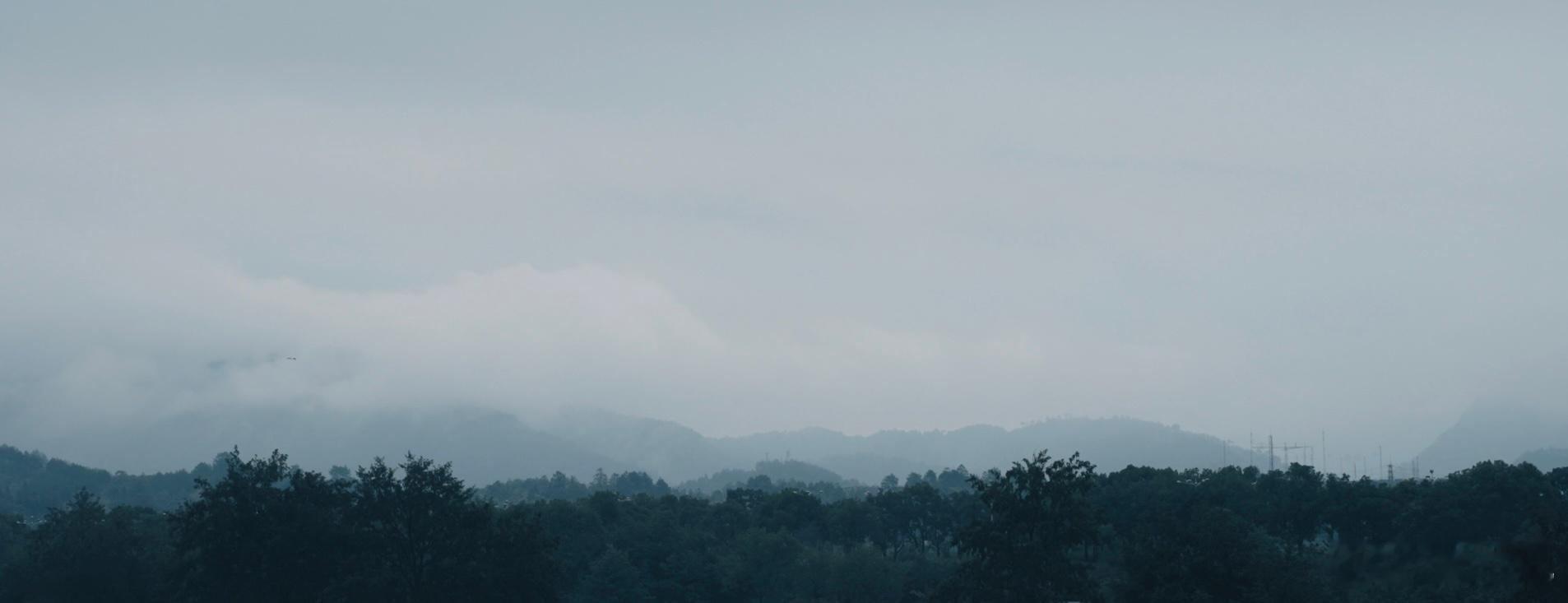 雨水  节气后，茶树新芽萌发，翠绿的茶园生机勃勃。可以漫步茶园，体验采茶、制茶，