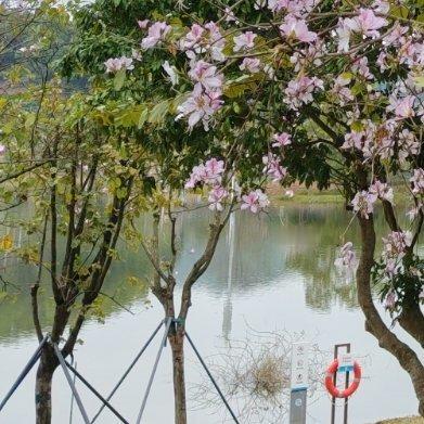 每日一善每日‎一善阳光信用 富强、民主、文明、和谐，自由、平等、公正、法治，爱国