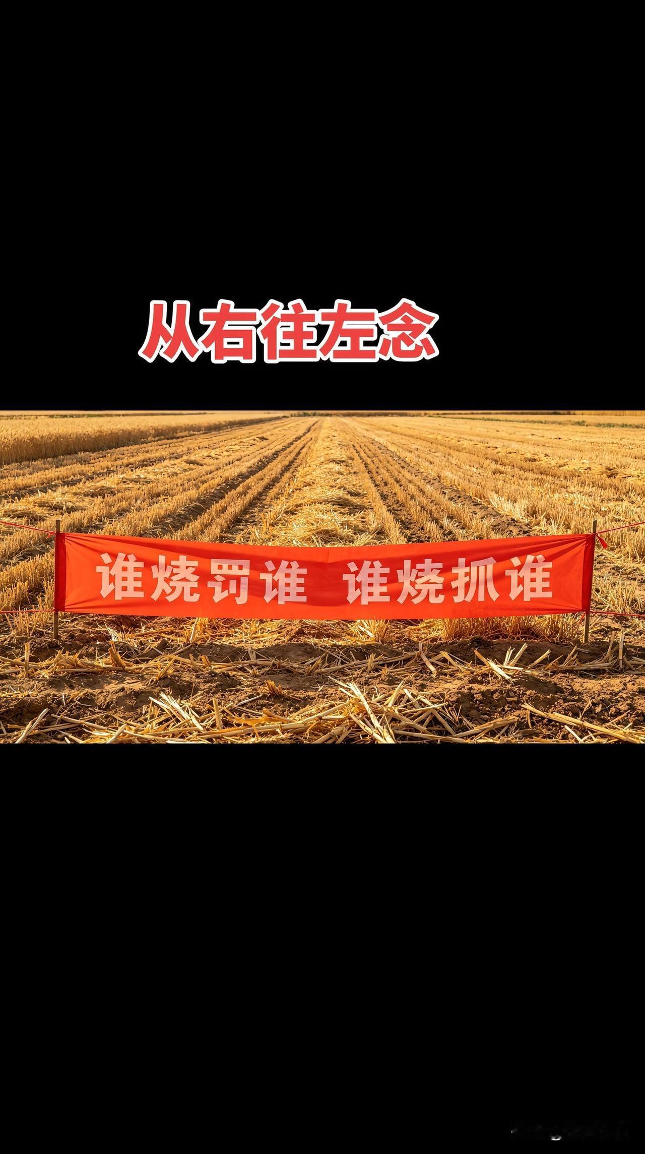 谁抓烧谁，谁罚烧谁！