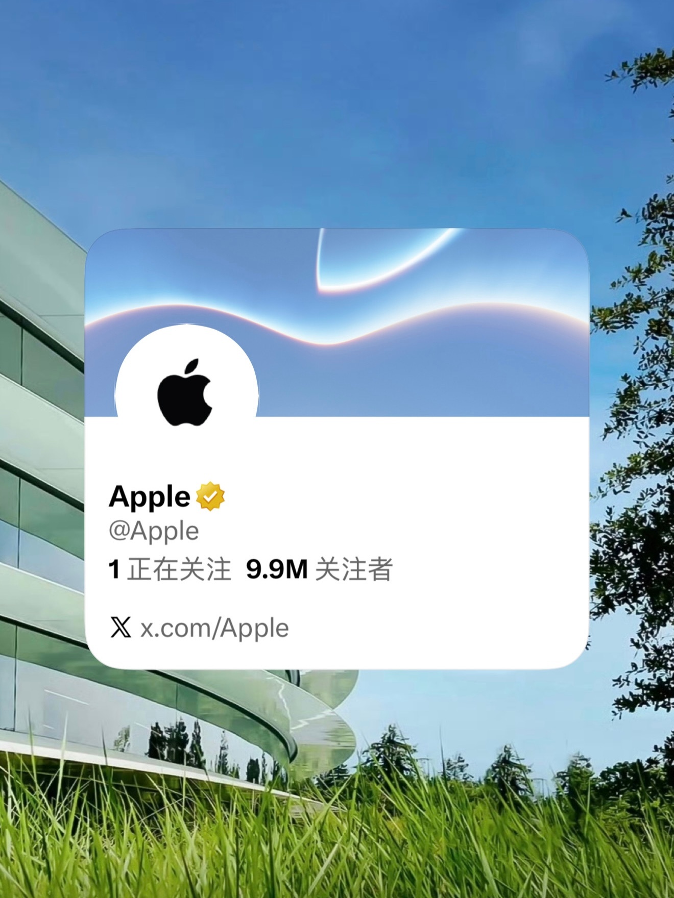 苹果官号历来只关注现任CEO真相是Apple X的账号一直0关注这次新CEO 上