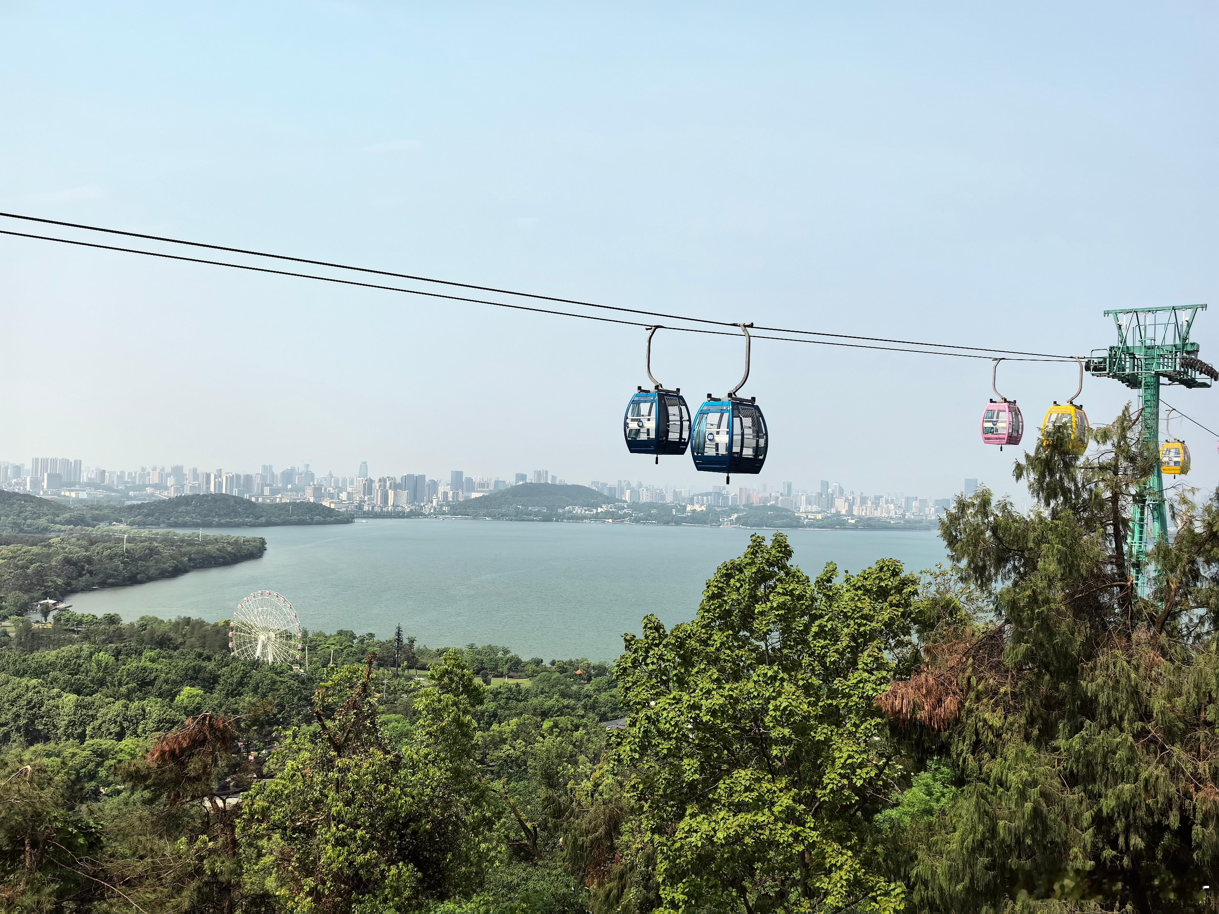 武汉#东湖# ，是中国最大的城中湖，分为四个区域：听涛景区、磨山景区、落雁景区和