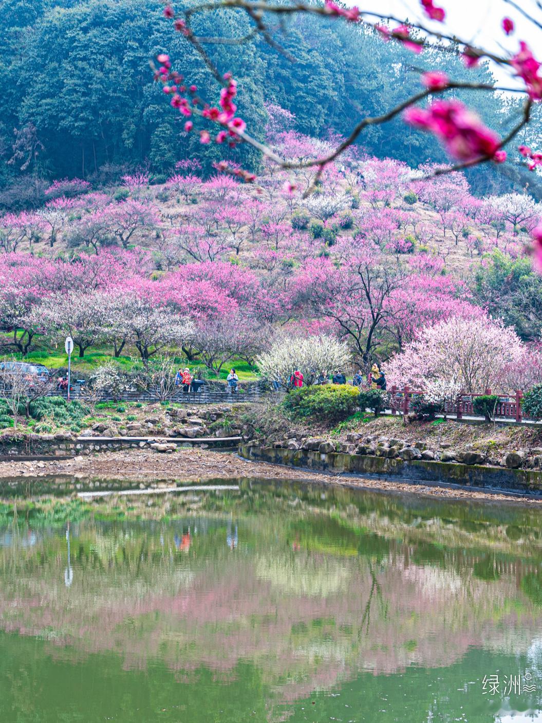 陌上花开 吉山    