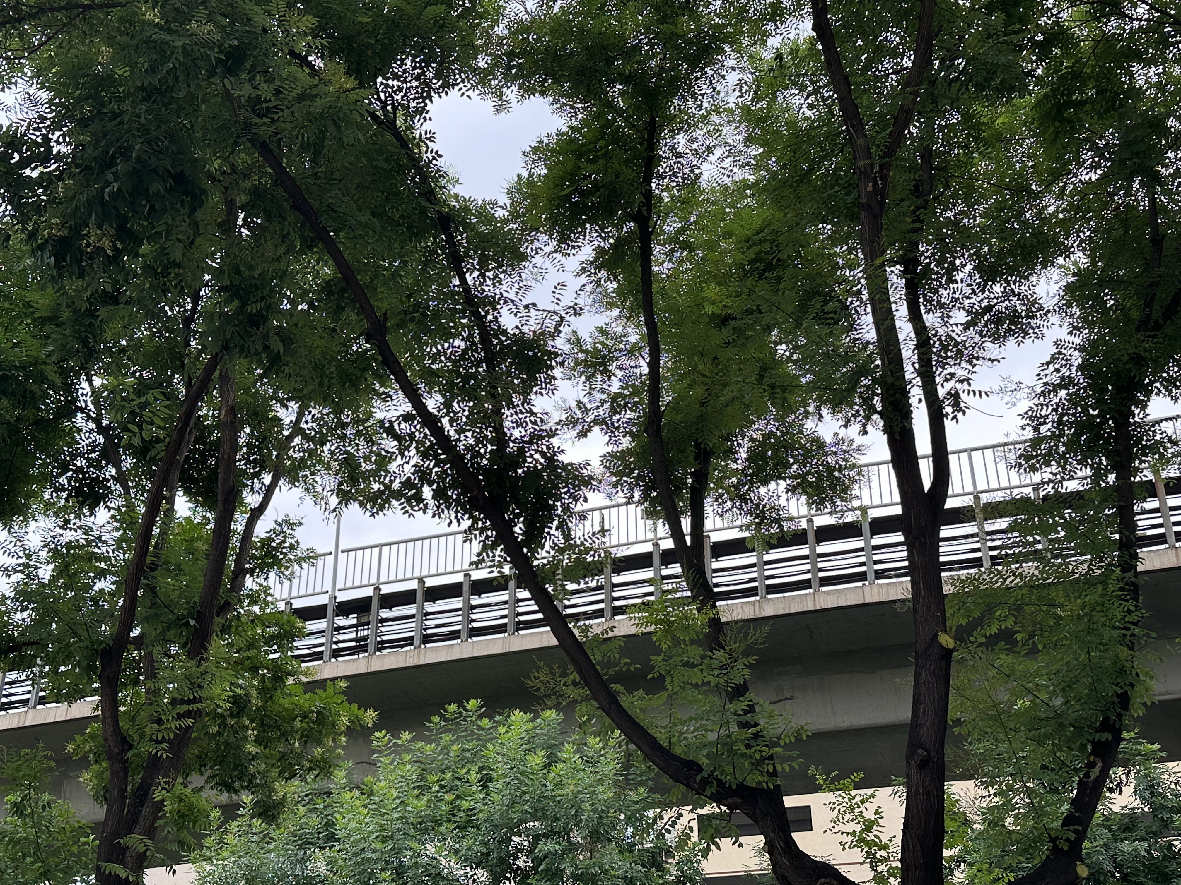 早安，北京～☁️ ​​​