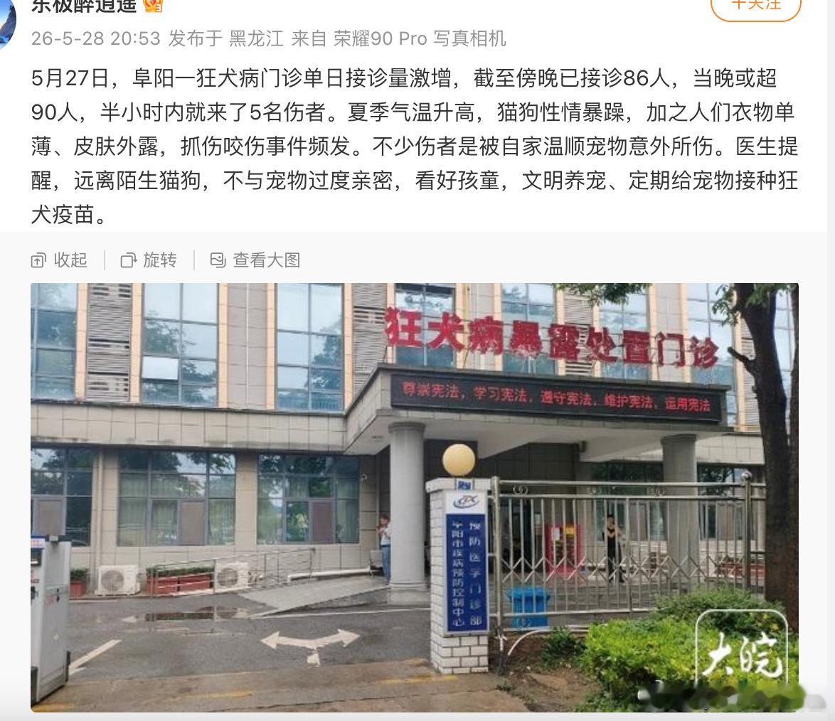 把猫犬当成伴侣动物，确实能刚性拉动GDP 