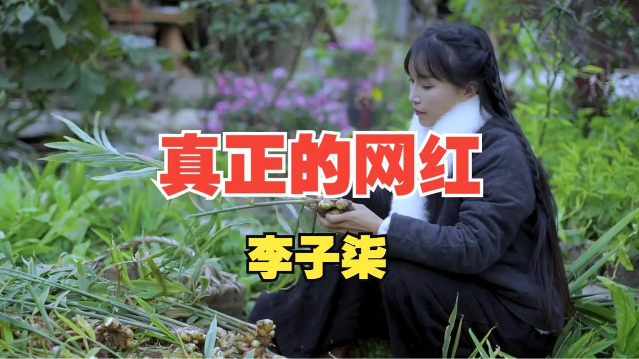 李子柒近日表示，她担忧青少年梦想成为网红。她认为，网红生活虽看似光鲜，但实则艰辛