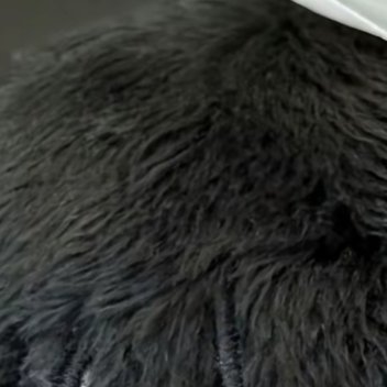 每日一善每日一善 富强、民主、文明、和谐，倡导自由、平等、公正、法治，倡导爱国、