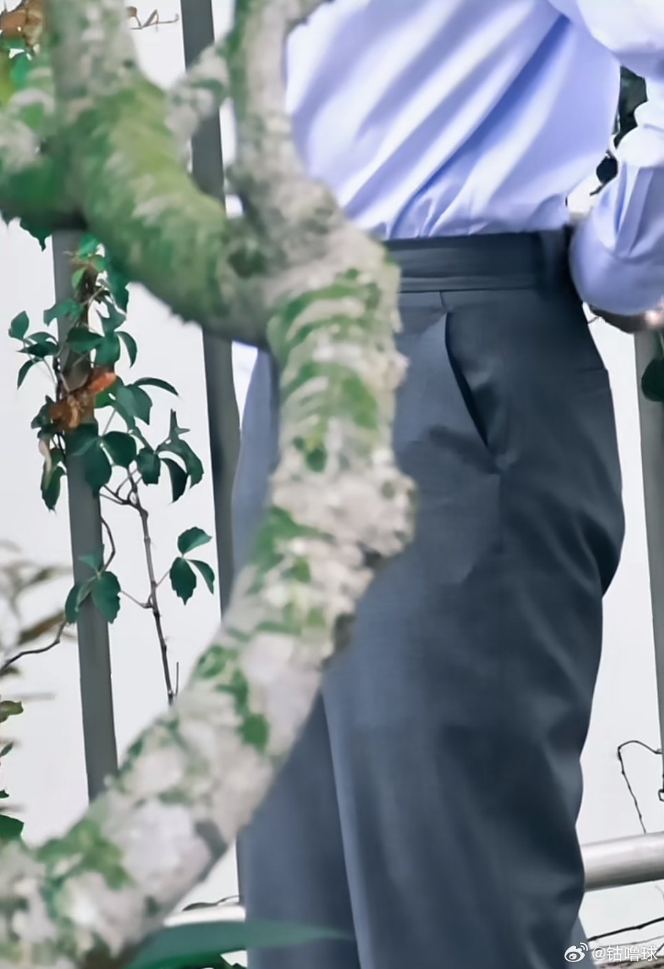 衬衫夹吗？人家还是个宝宝