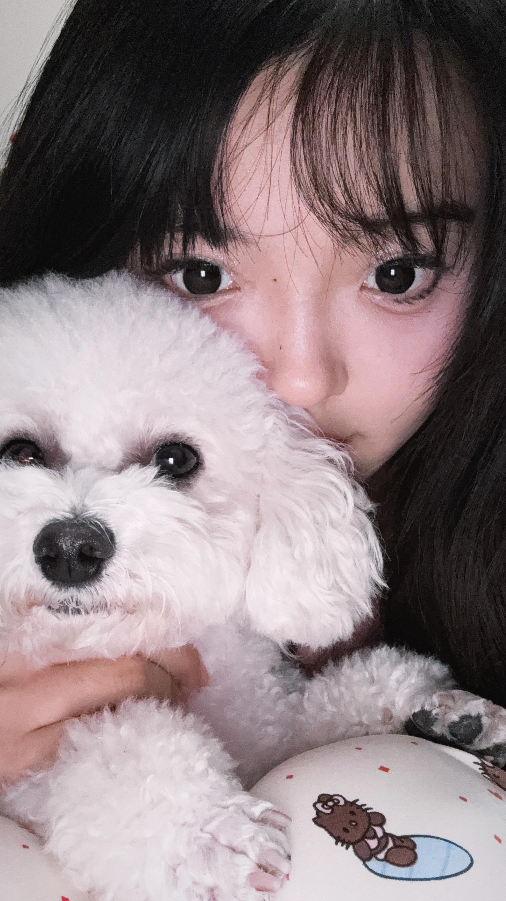 我和我的狗 乖巧宝宝