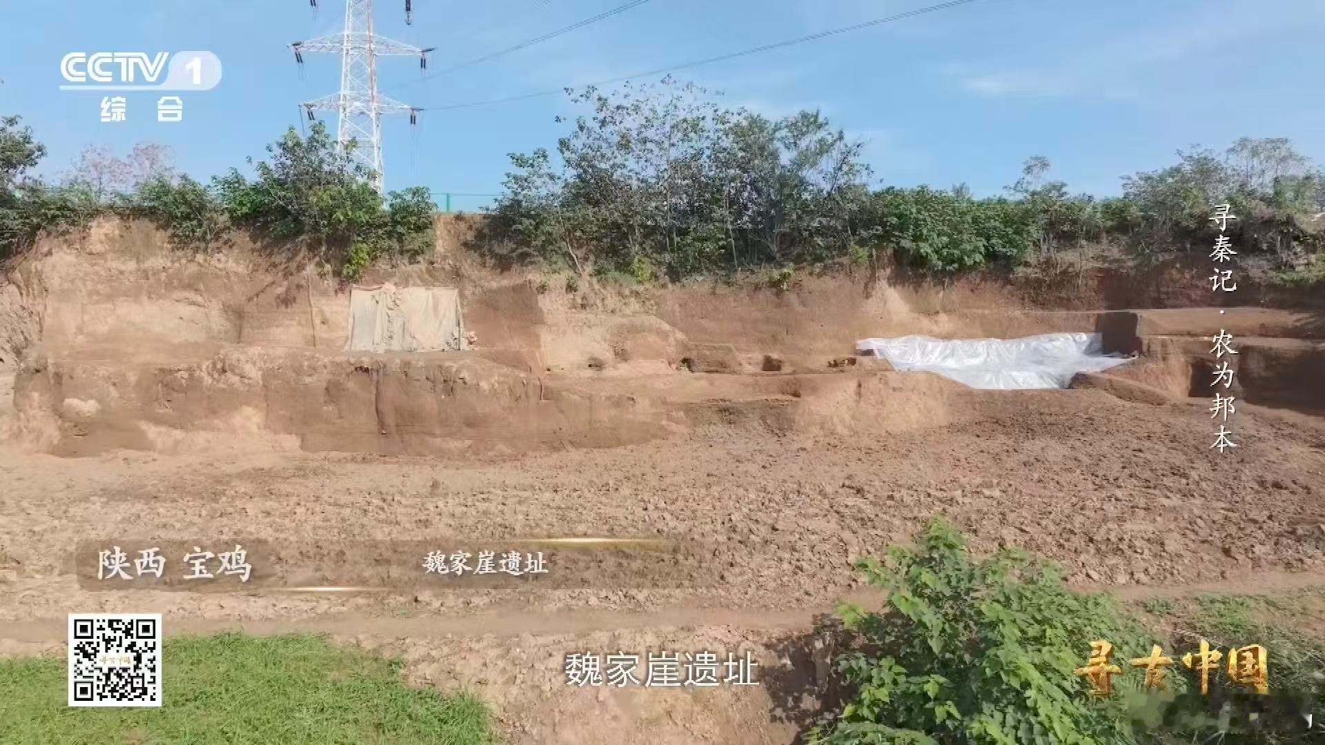 从3升土里淘出秦人食谱2000多年前的垃圾桶 考古的世界总是充满奇迹，从这3升看