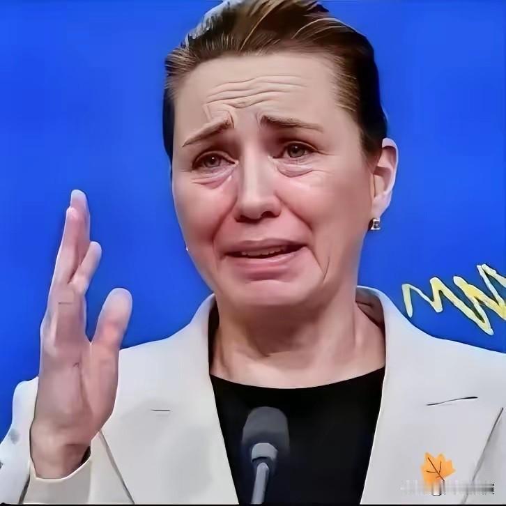 丹麦政府痛恨中国

丹麦打从骨子里敌视中国，这话可不是瞎说，他们的外交大臣直接把