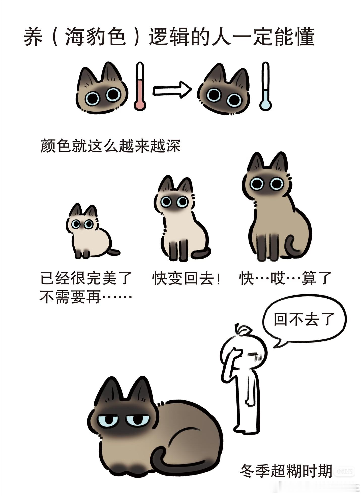 一不小心就糊了 