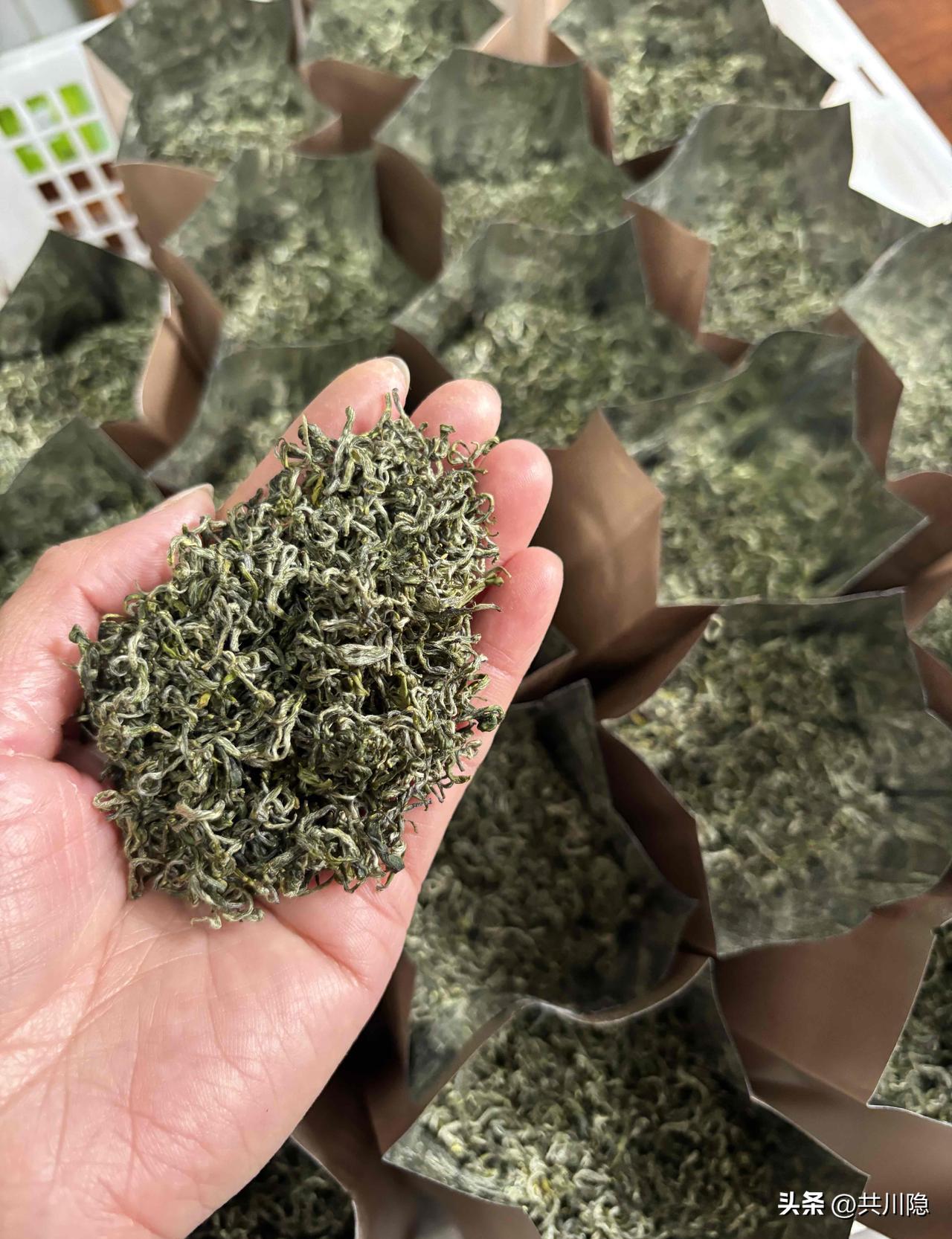 280元就能喝到“头春高山明前”，这在2026年的春茶行情里，几乎等于用二锅头的