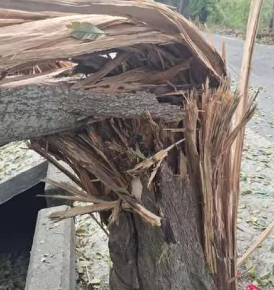 台湾陆军演习，炮弹失控损毁民宅。

这是怎么回事，应该保护人民的军人，却把炮弹打