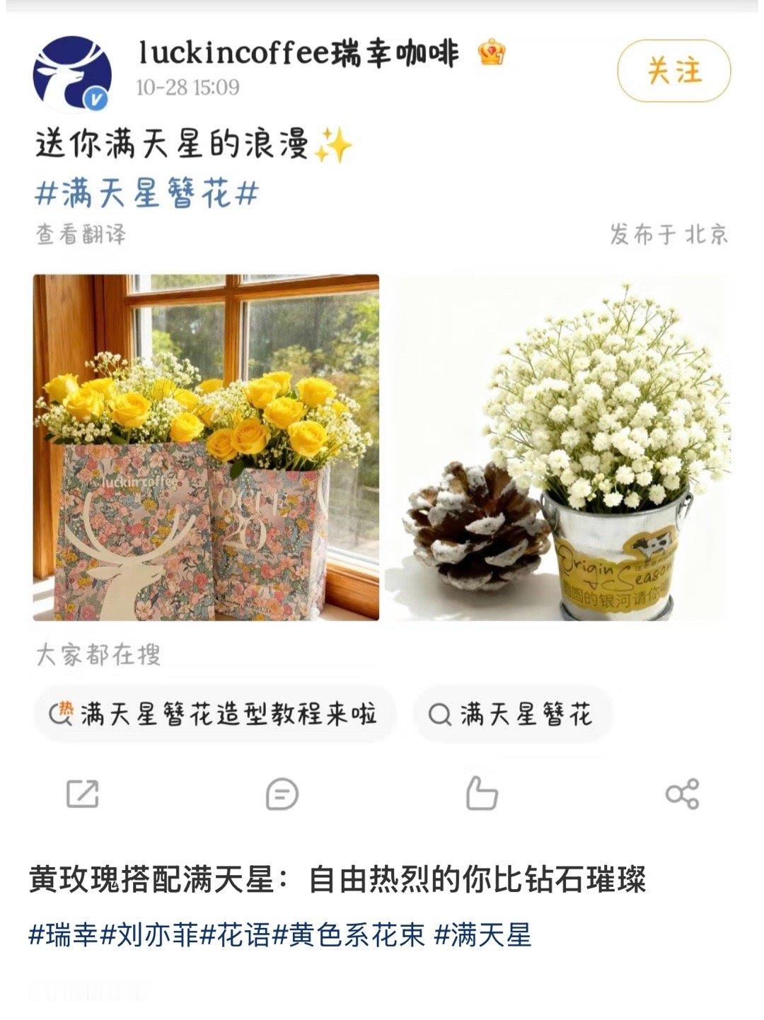 刘亦菲很牛，自不必说，但我觉得仙粉与刘亦菲双向奔赴，同样优秀，高素质口才一流才华