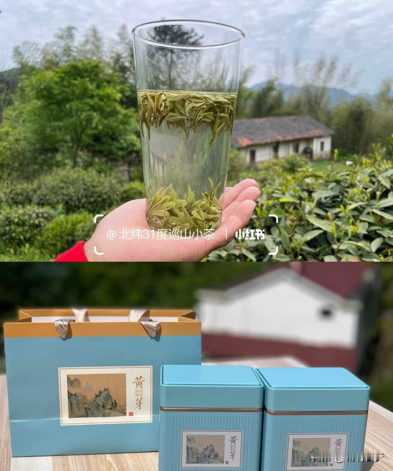 茶友满世界找好茶，茶农守着好茶卖不掉，这中间的鸿沟到底卡在哪儿？我老家就在大别山