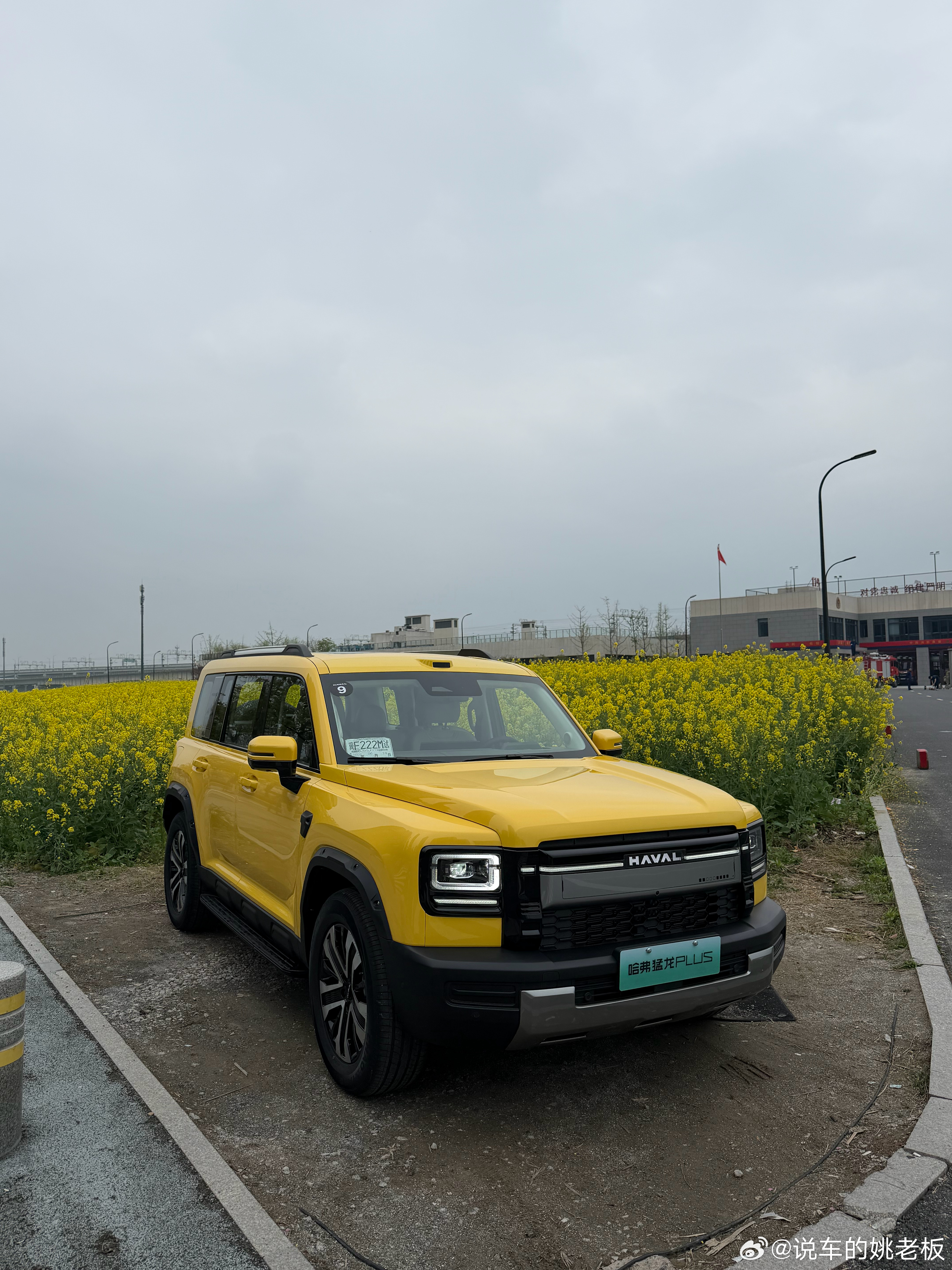 今儿拍猛龙plus  油菜花配跟这个颜色真的挺配跟姚老板混一天吃9顿