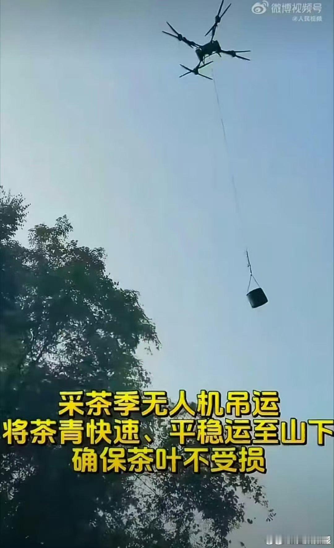 武夷山运茶已经用上无人机了 空中吊运茶青太震撼！福建南平武夷山采茶季，无人机把采
