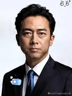 这日本防卫大臣小泉进次郎也是挺有意思，在会上跟个受气包似的告状。

说什么咱们大