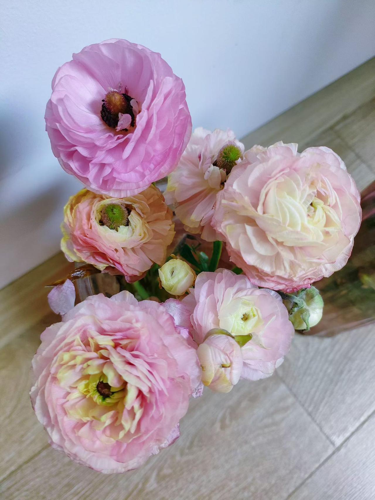 说实话
世界上最傻的行为
是拿别人的错误惩罚自己
别忘记把身体照顾好
把该做的事