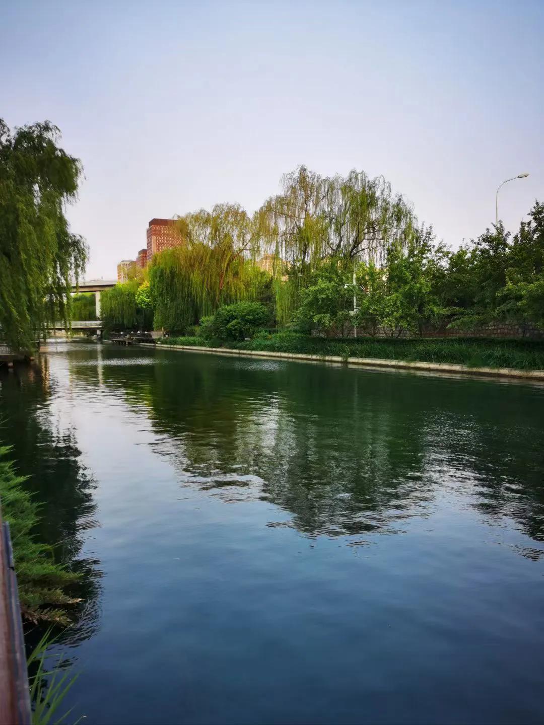 ◆临江仙·护城河晚照‌

当代·黄永强

十里波光浮往事，残阳漫染城垣。
桑蚕新