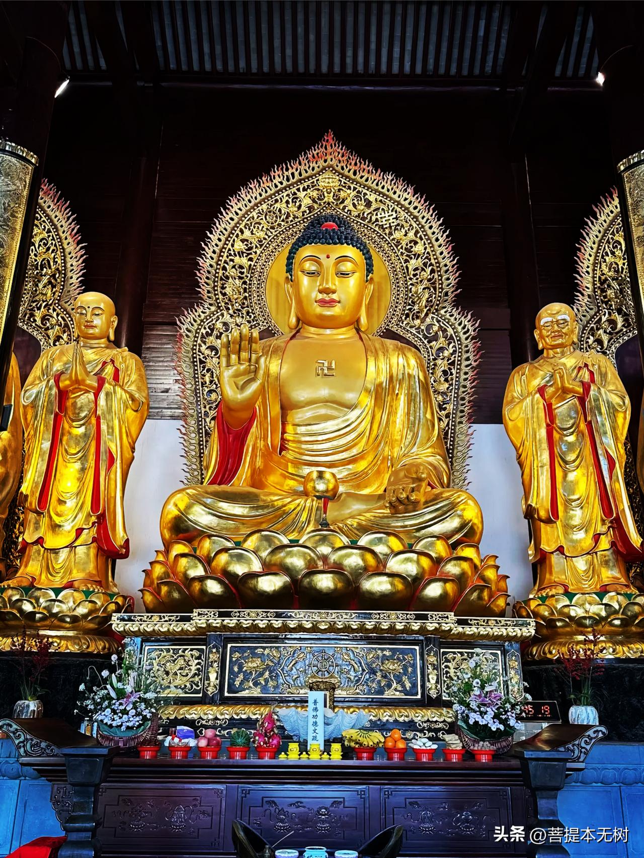 金身如来端坐莲台，身旁迦叶、阿难二尊者侍立左右🙏
人这一生，奔波劳碌，所求不过