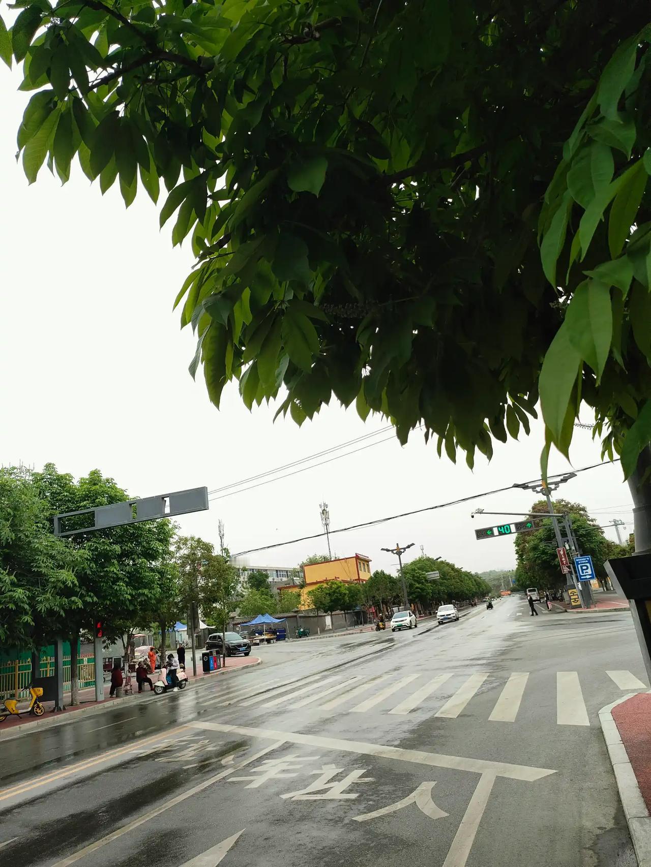 谢谢你的点评呀！这是药王大道的人行道，是不是很美呢？[微风]下图才是更美的景致哦