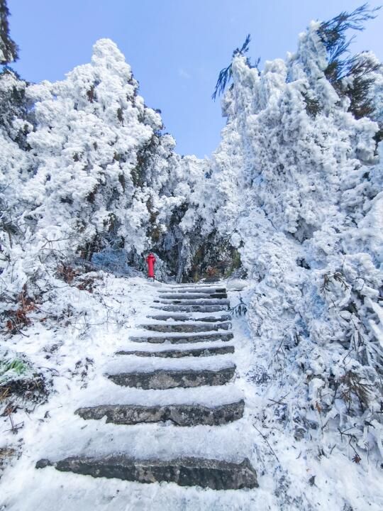 下雪预告！别错过广州周边3h直达的衡山雾凇