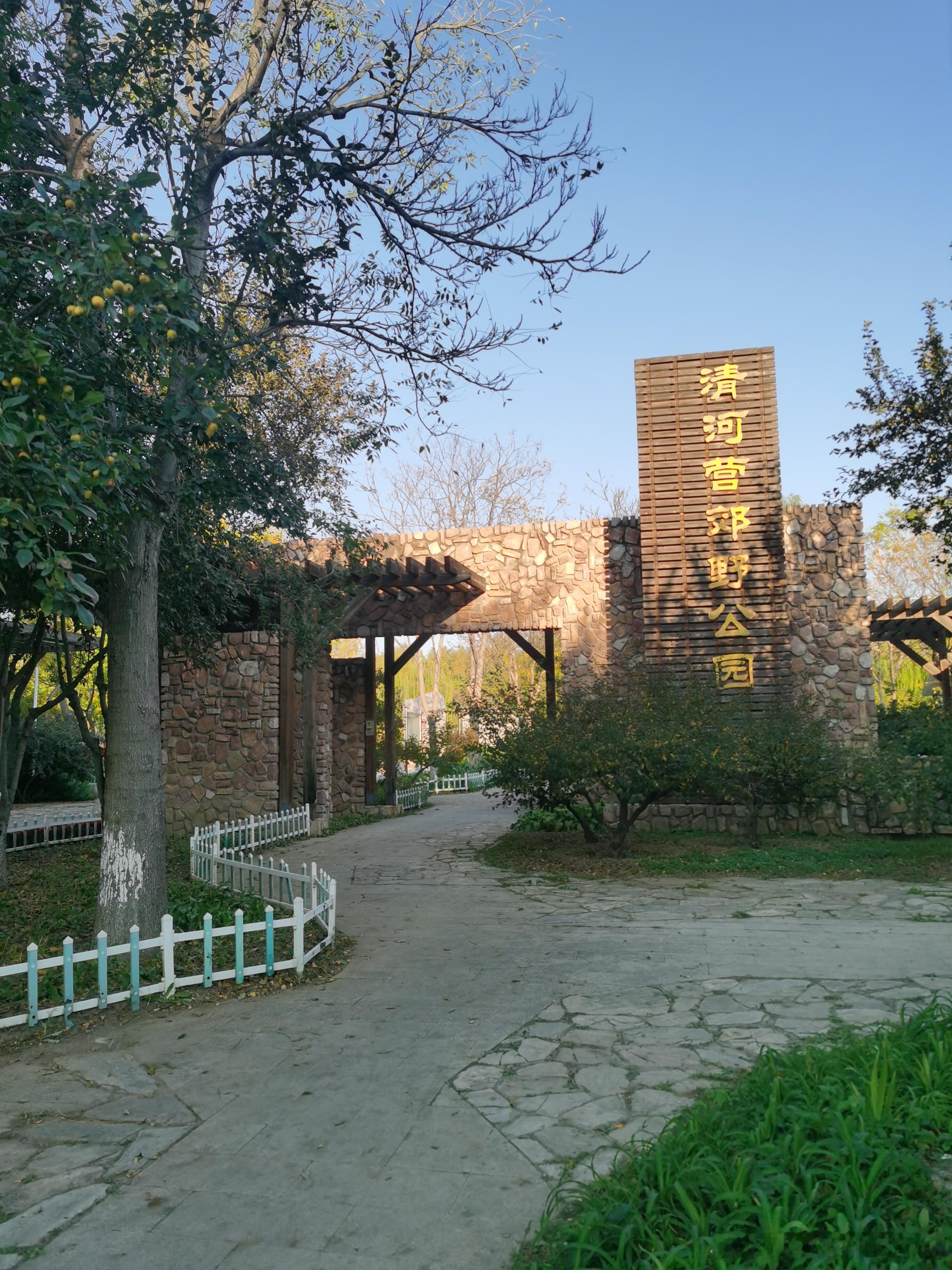 北京清河营郊野公园  摄影​​​