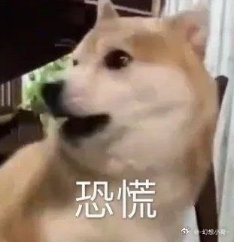 年底了，大家敢不敢算一算2024年为逆子花了多少钱？ 