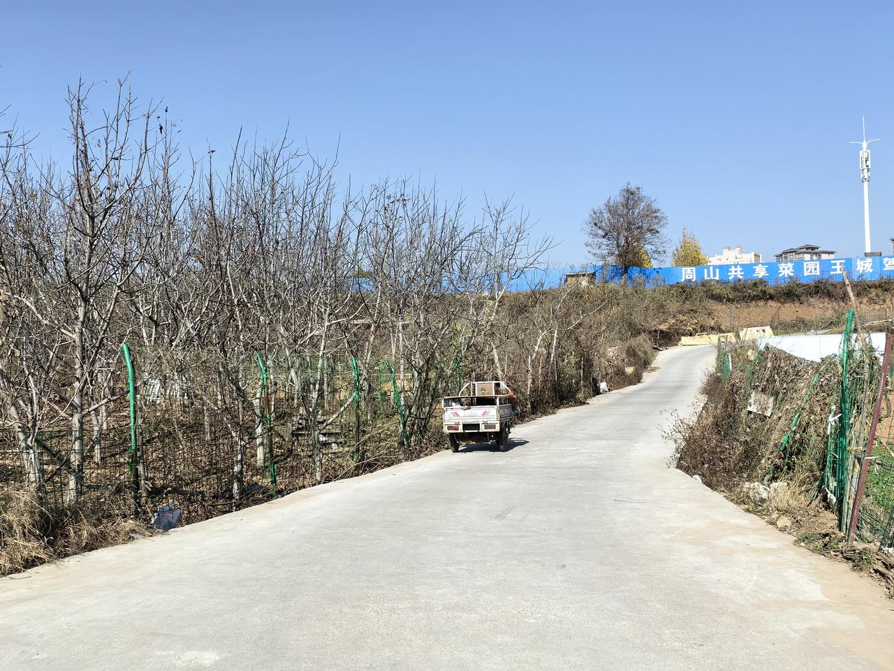 多想拥有一块菜地，今天又来到小菜园。
      养眼菜地 只是参观别人家的地，