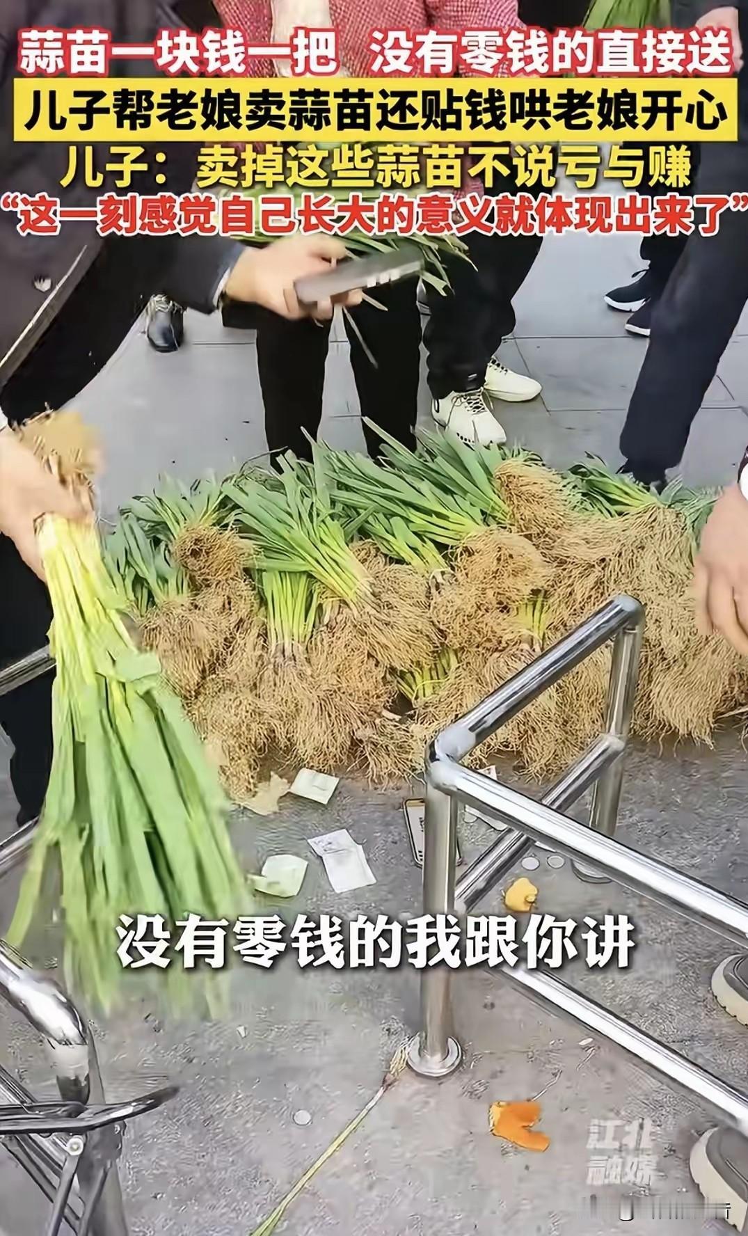 安徽蚌埠，65岁母亲种了一亩地蒜苗，卖不掉，愁的直叹气，儿子开车回家，将蒜苗拉到