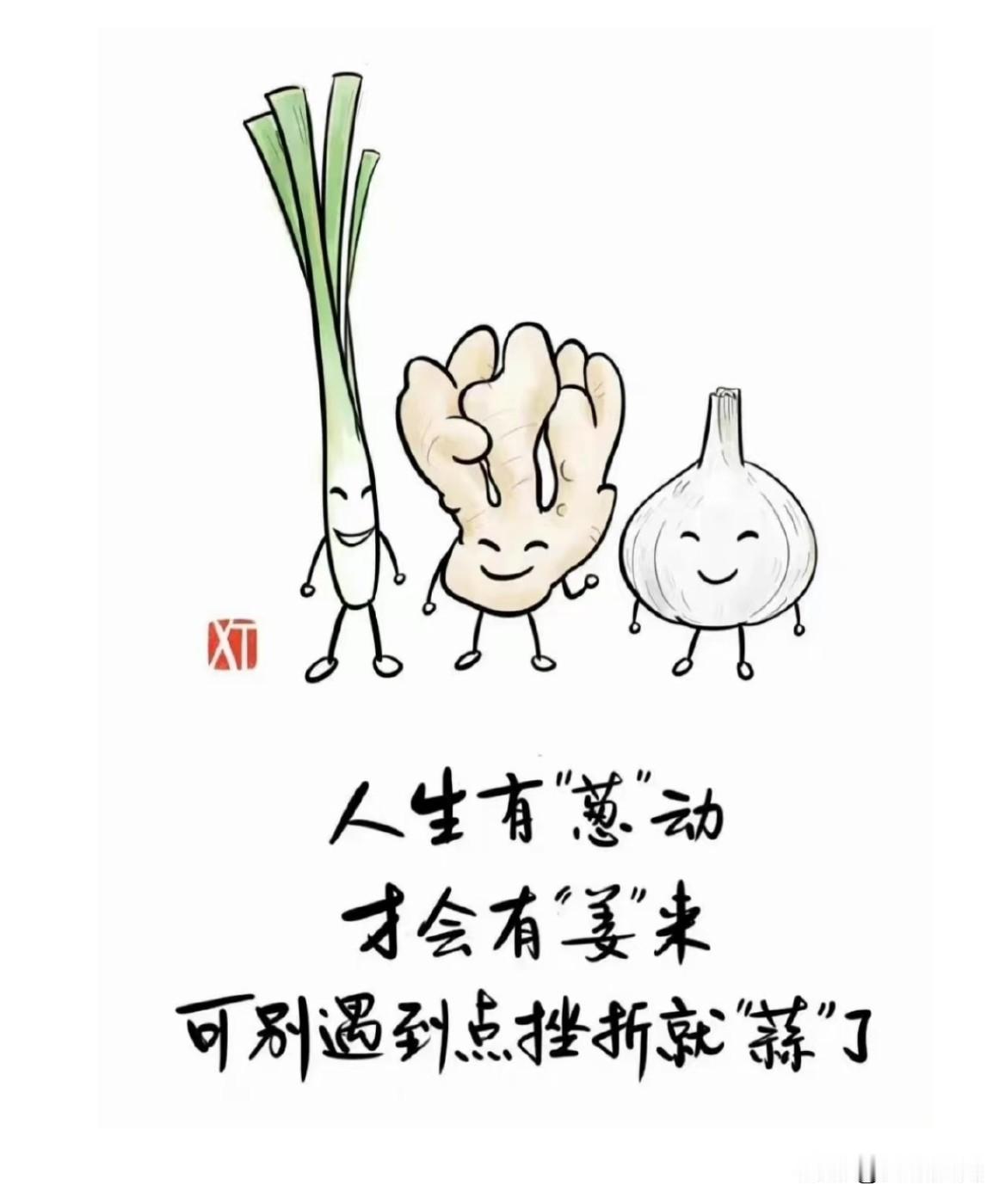 世界杯，你在看什么？！

6月14日。一大早队友就打开电视机，笑眯眯的去看202